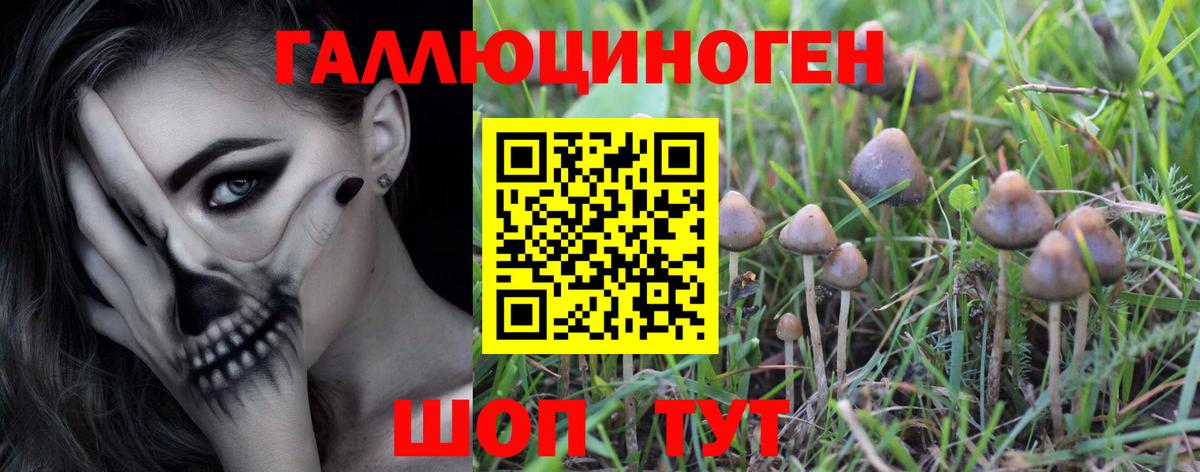Шарыпово  Галлюциногенные грибы Psilocybine cubensis  закладки  Вход с VPN  Галлюциногенные грибы мицелий 